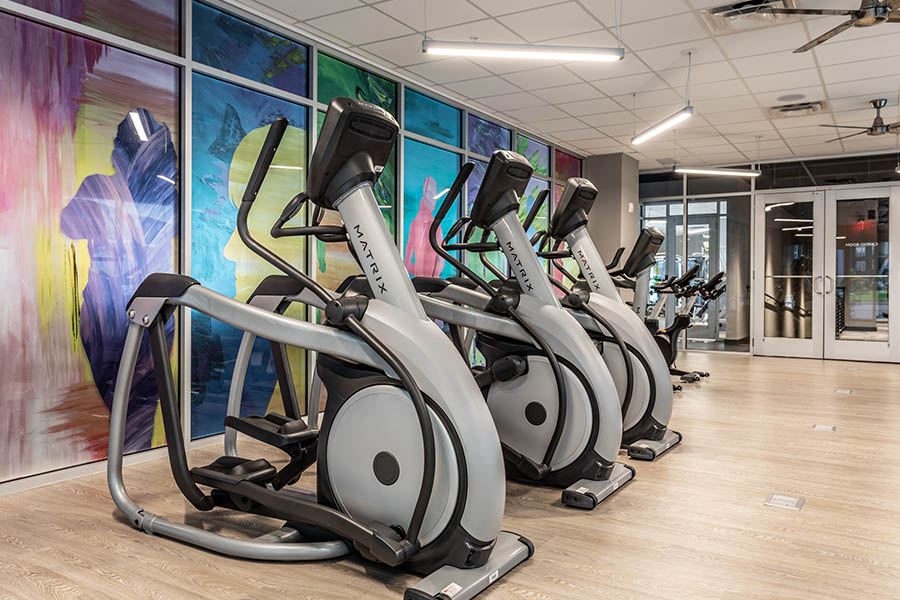 Rows of elliptical machines in a bright and colorful fitness room.