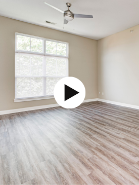 Virtual Tours  (18)
